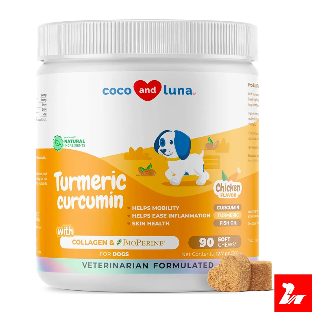 Curcumina natural con colágeno para evitar o tratar el dolor de articulaciones en perritos