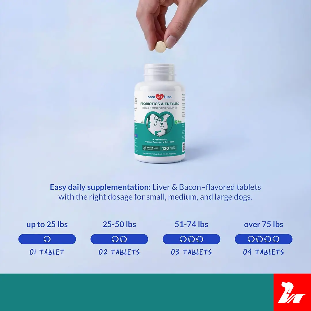 Probióticos y Enzimas | Flora y apoyo digestivo | 120 tabletas masticables - Imagen 3